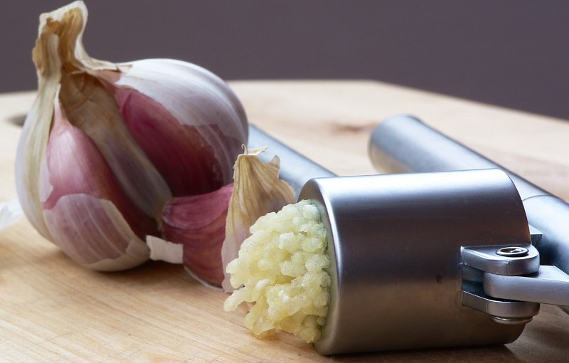can hamsters eat garlic