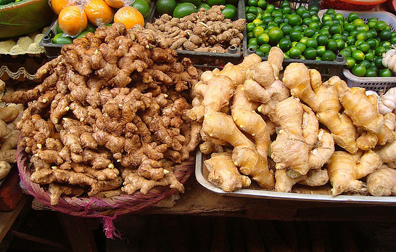 can hamsters eat ginger