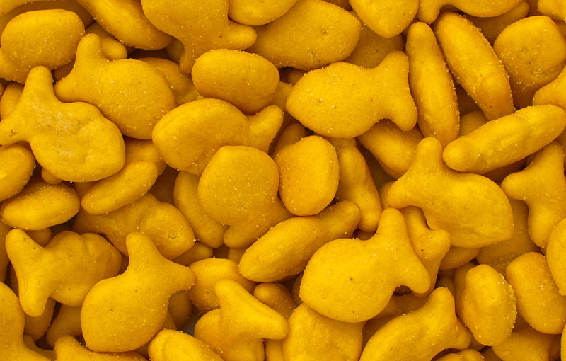 can hamsters eat goldfish