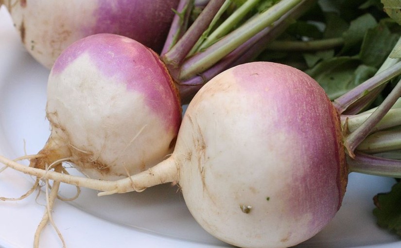 can hamsters eat turnip