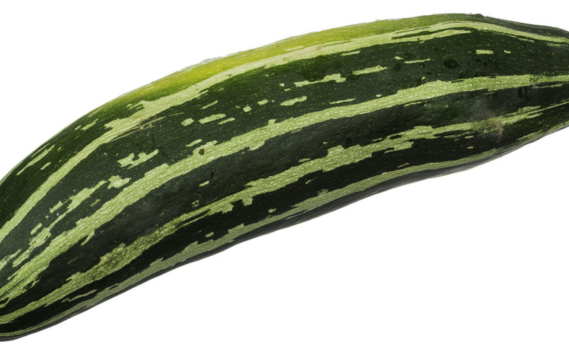 can hamsters eat zucchini