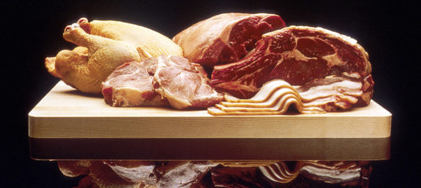 can hamsters eat meat