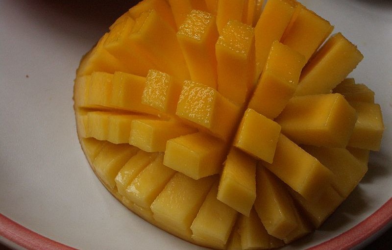 can hamsters eat mango