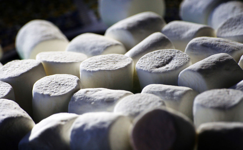 can hamsters eat marshmallows