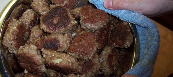 can hamsters eat meatballs