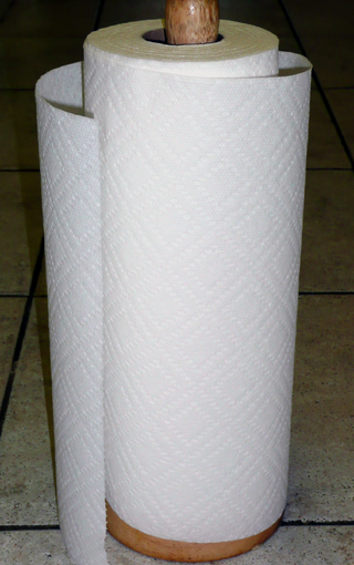 can hamsters eat paper towels