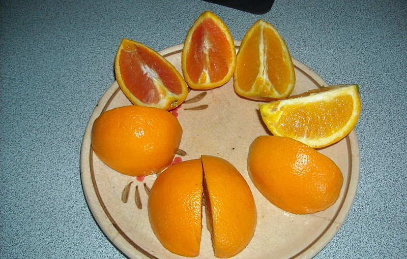 can hamsters eat orange peels