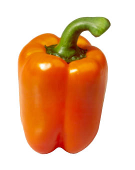 can hamsters eat orange peppers