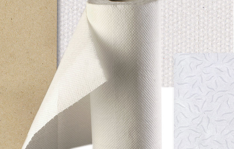 can hamsters eat paper