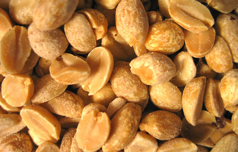 can hamsters eat peanuts