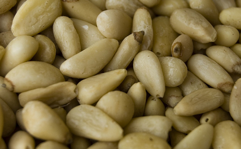 can hamsters eat pine nuts