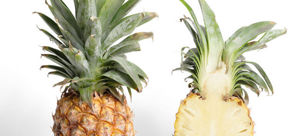 can hamsters eat pineapple