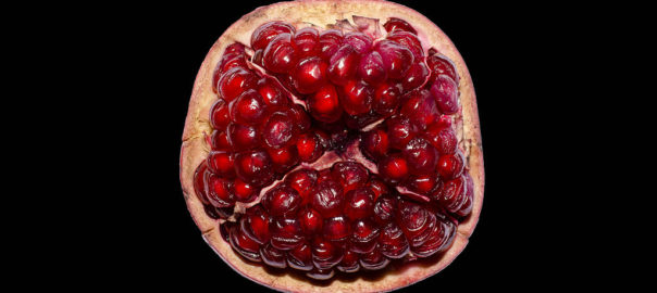 can hamsters eat pomegranate seeds