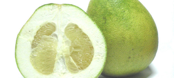 can hamsters eat pomelos