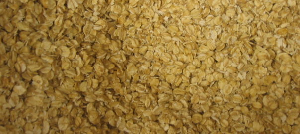can hamsters eat porridge oats