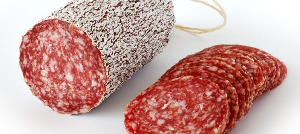 can hamsters eat salami