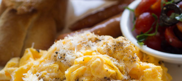 can hamsters eat scrambled eggs