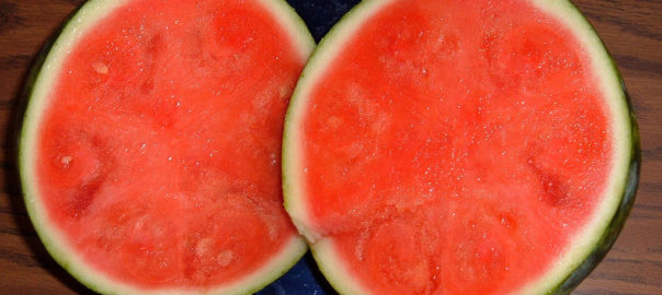 can hamsters eat watermelon rind