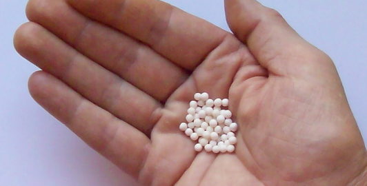 can hamsters eat tapioca