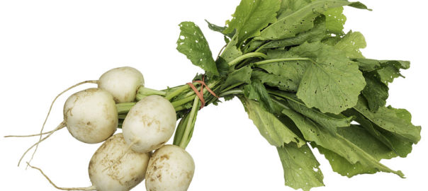 can hamsters eat turnip greens