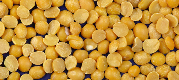 can hamsters eat yellow split peas