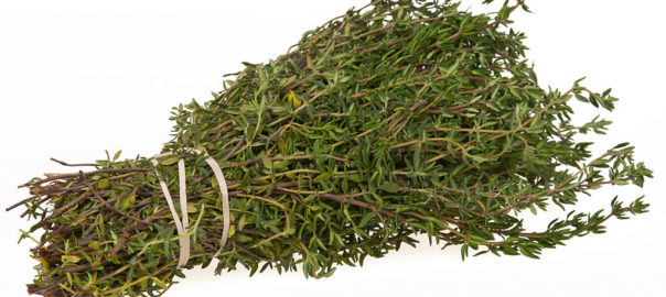 can hamsters eat thyme