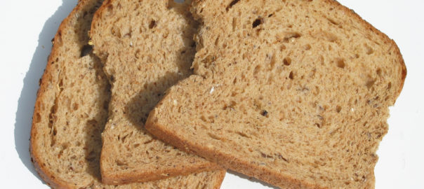 can hamsters eat stale food