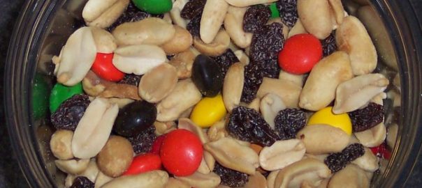 can hamsters eat trail mix